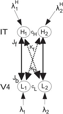 Analysis of Biased Competition and Cooperation for Attention in the Cerebral Cortex